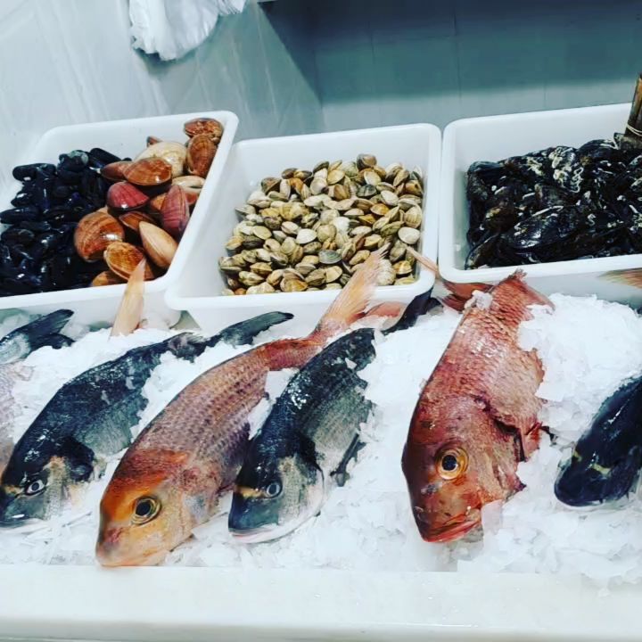 Variedad de pescados recién capturados