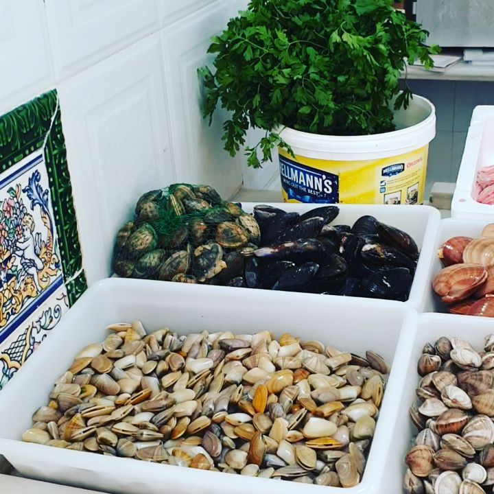 Mariscos en exposición